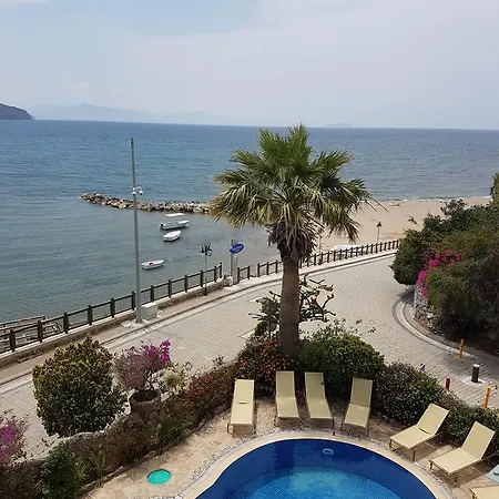 Synosse 4*